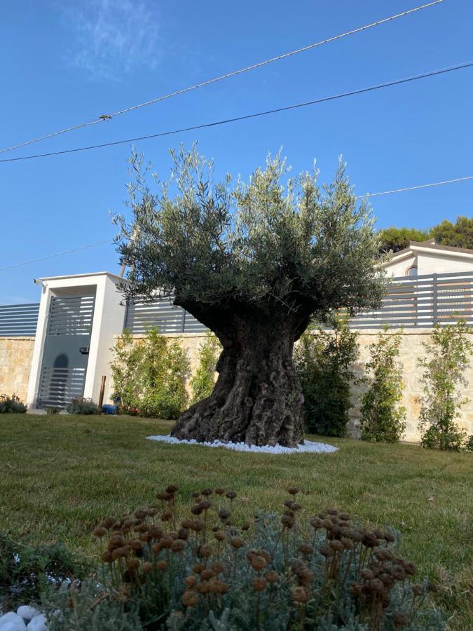 Villa Palladino Rooms Giovinazzo Exterior photo